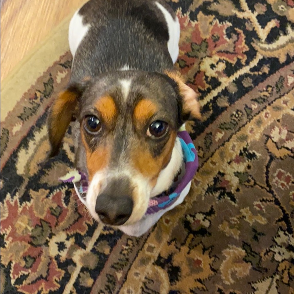 Meet your Posher, Lisa